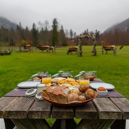 Bed & Breakfast Hisa Ojstrica