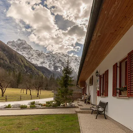 Hisa Ojstrica Bed & Breakfast