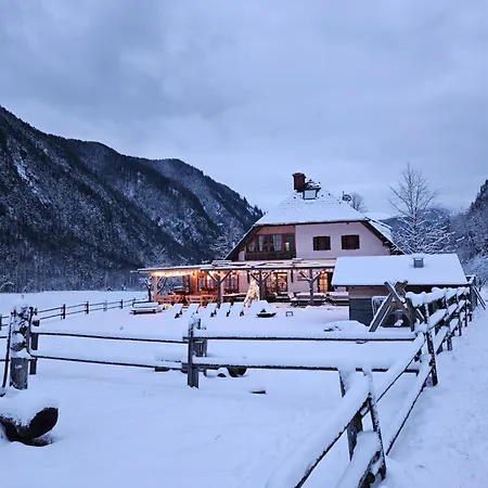 Hisa Ojstrica 3* Solcava