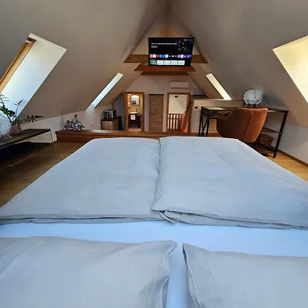 Hisa Ojstrica Bed & Breakfast 3*