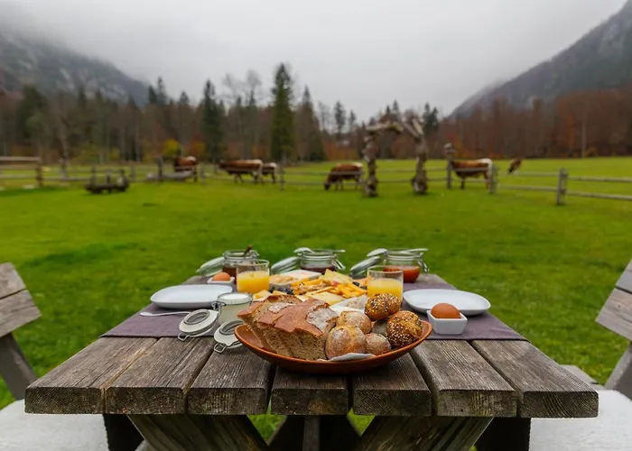 Bed & Breakfast Hisa Ojstrica