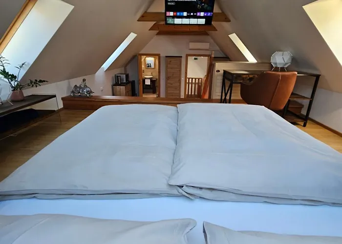 Hisa Ojstrica Panzió 3*